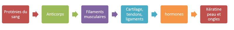 explications-06